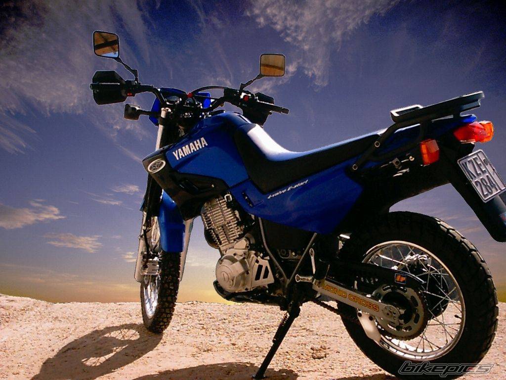 Bike Photo 102823