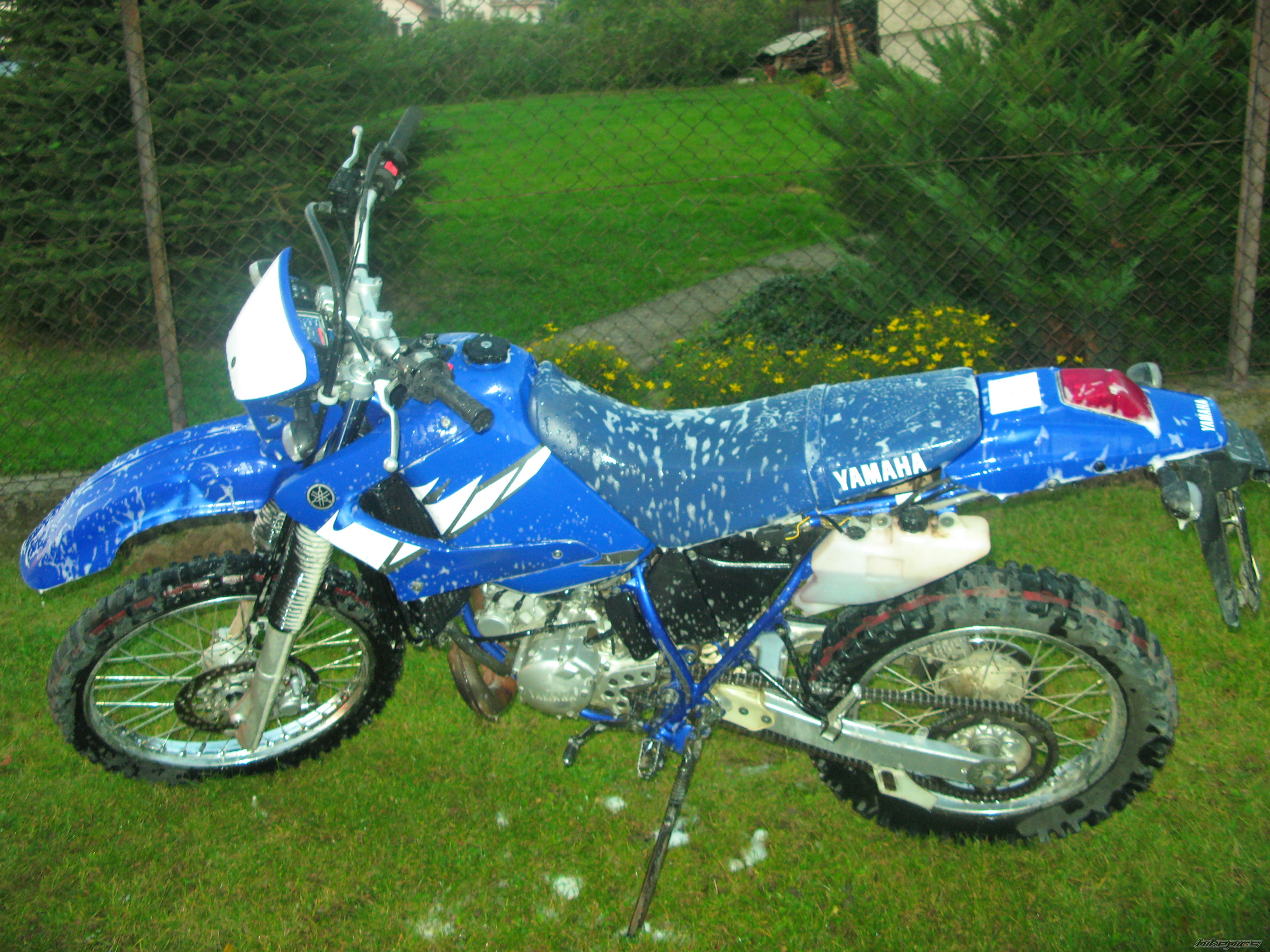 Photo 1028294