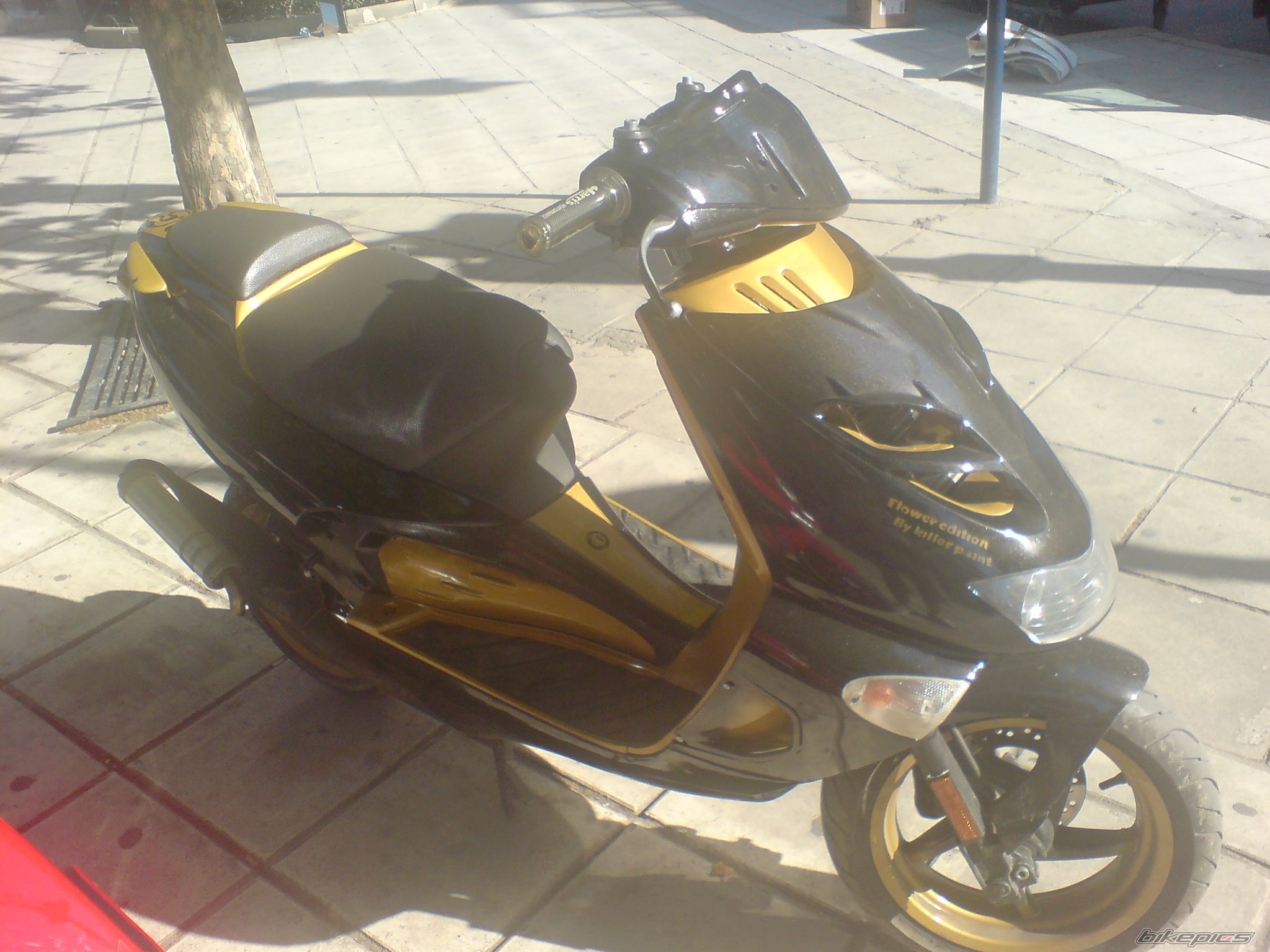 Bike Photo 1028325