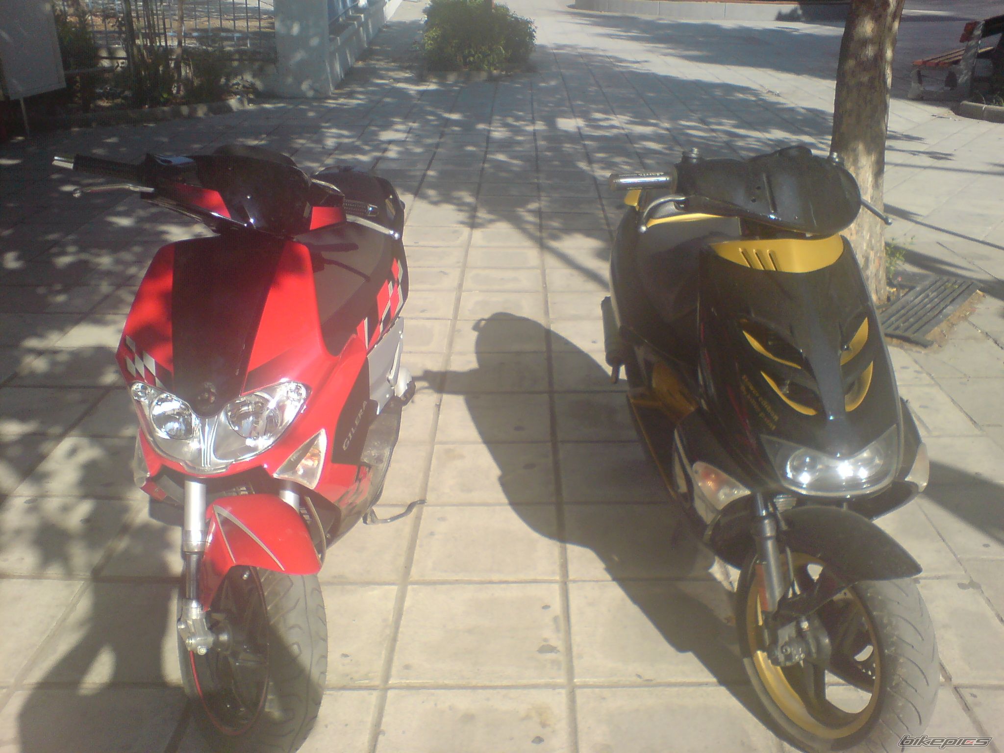 Bike Photo 1028349