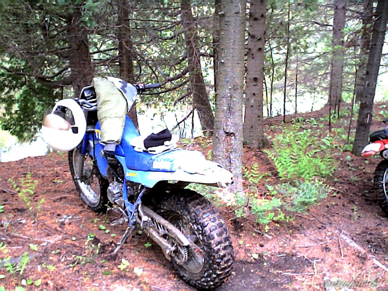 Bike Photo 1028503