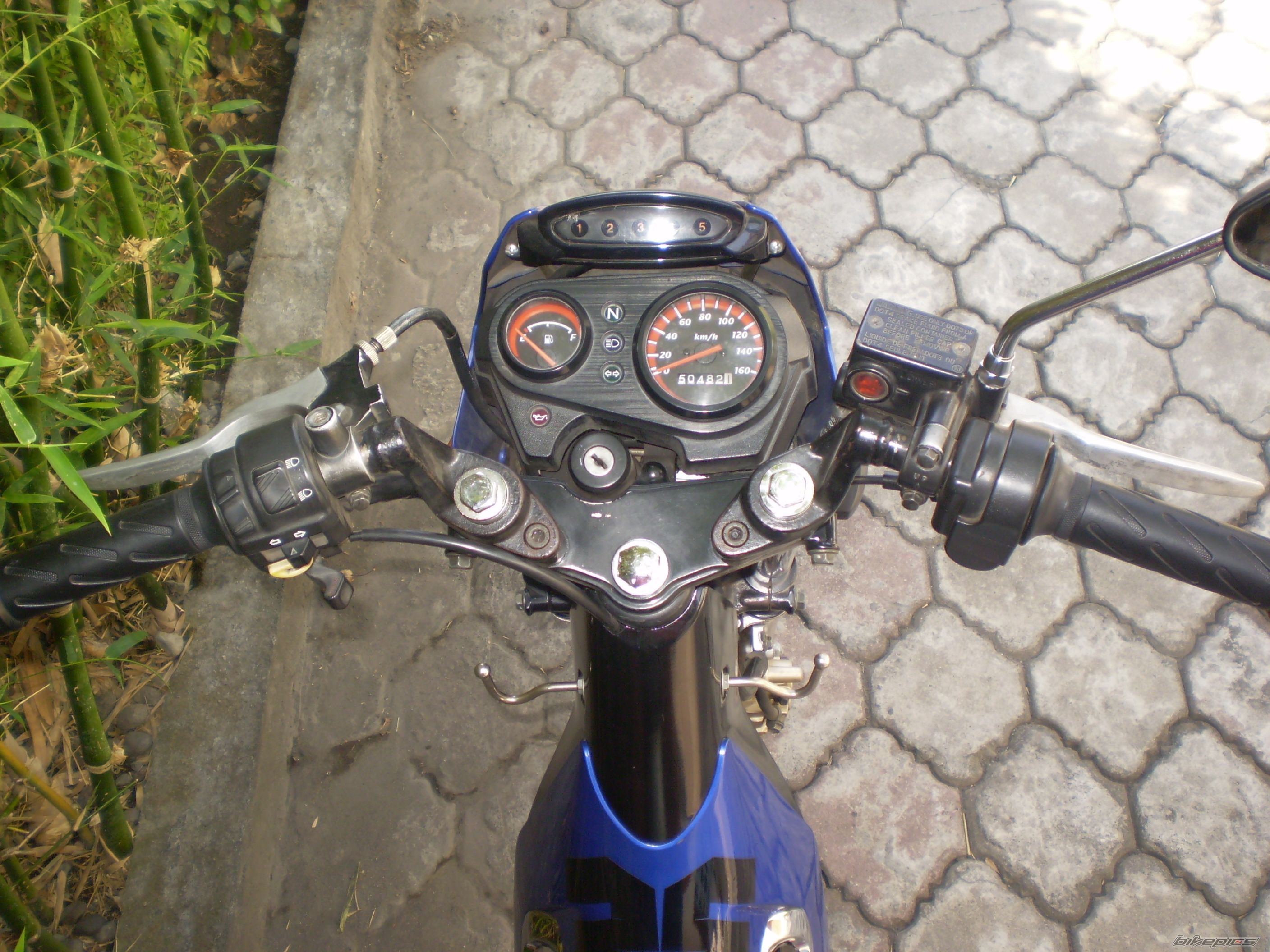 Photo 1028529
