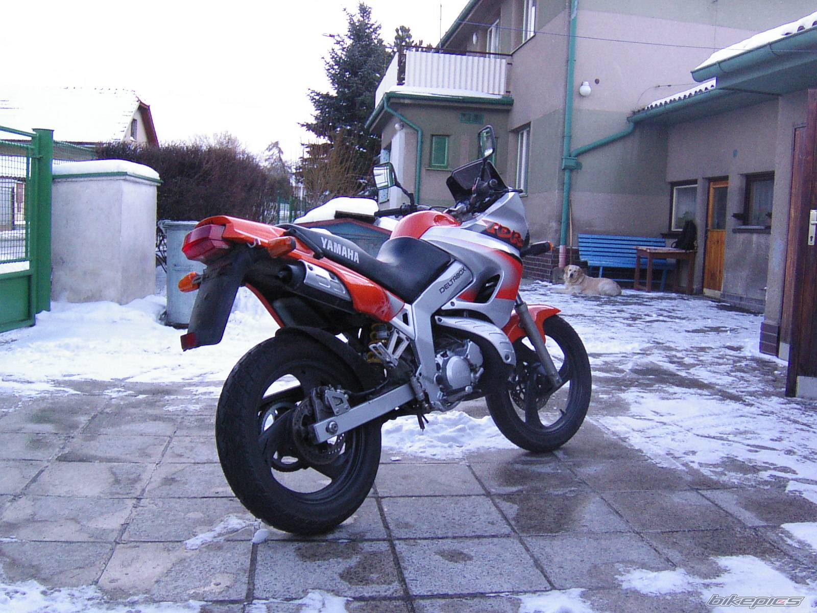 Bike Photo 102856