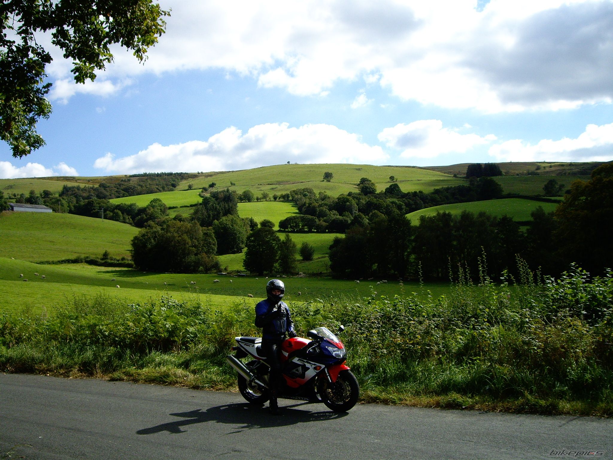 Bike Photo 1028922