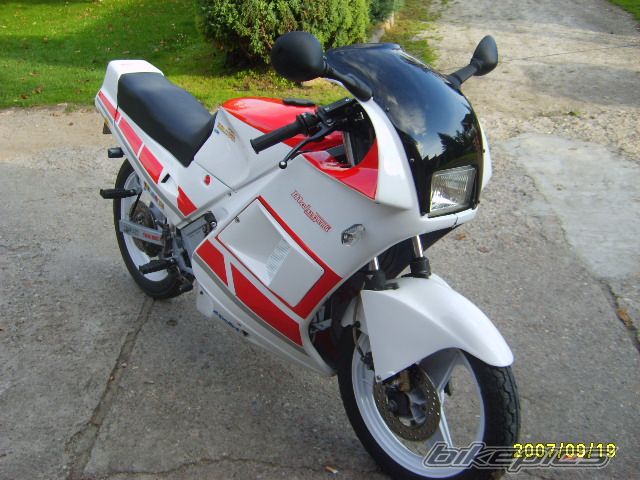 Photo 1028933