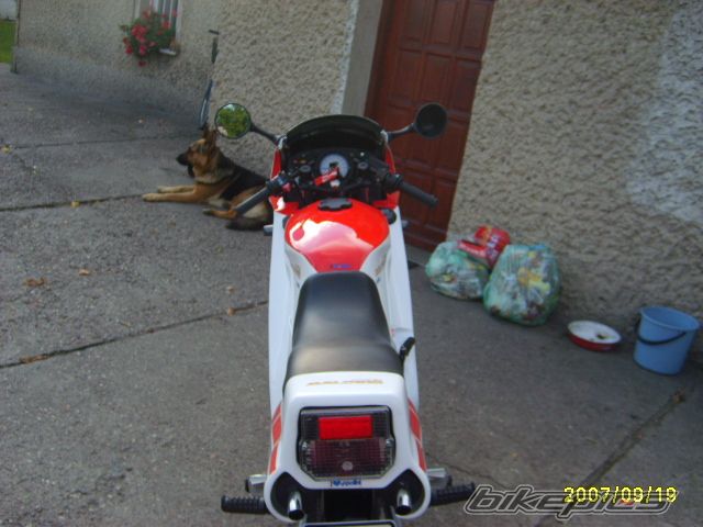 Photo 1028938