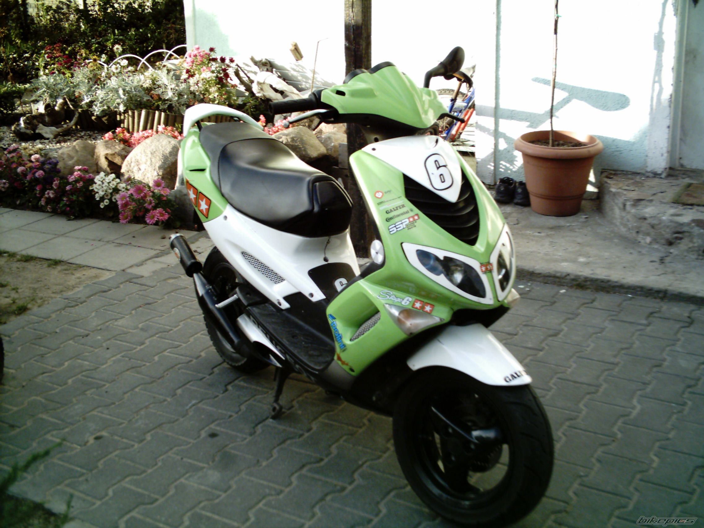 Photo 1029029