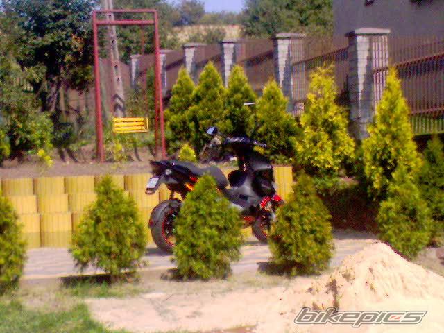 Photo 1029086