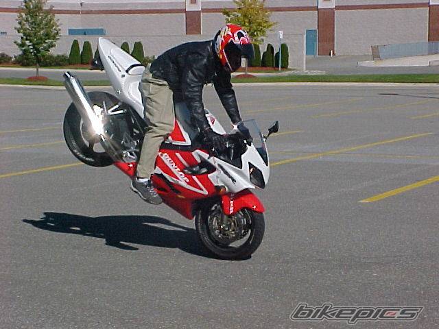 Photo 10291