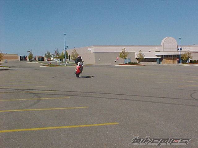 Photo 10292