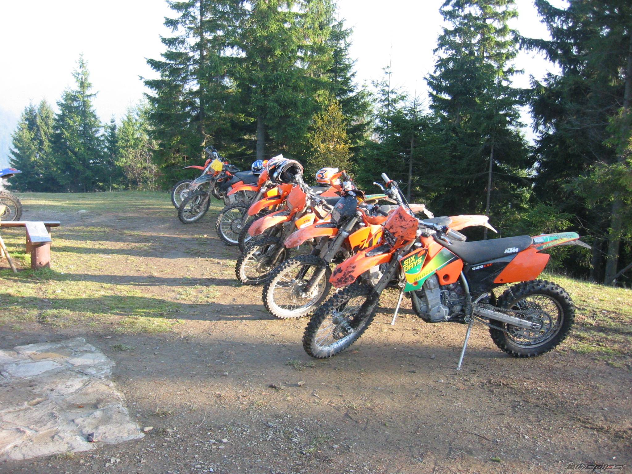 Photo 102948