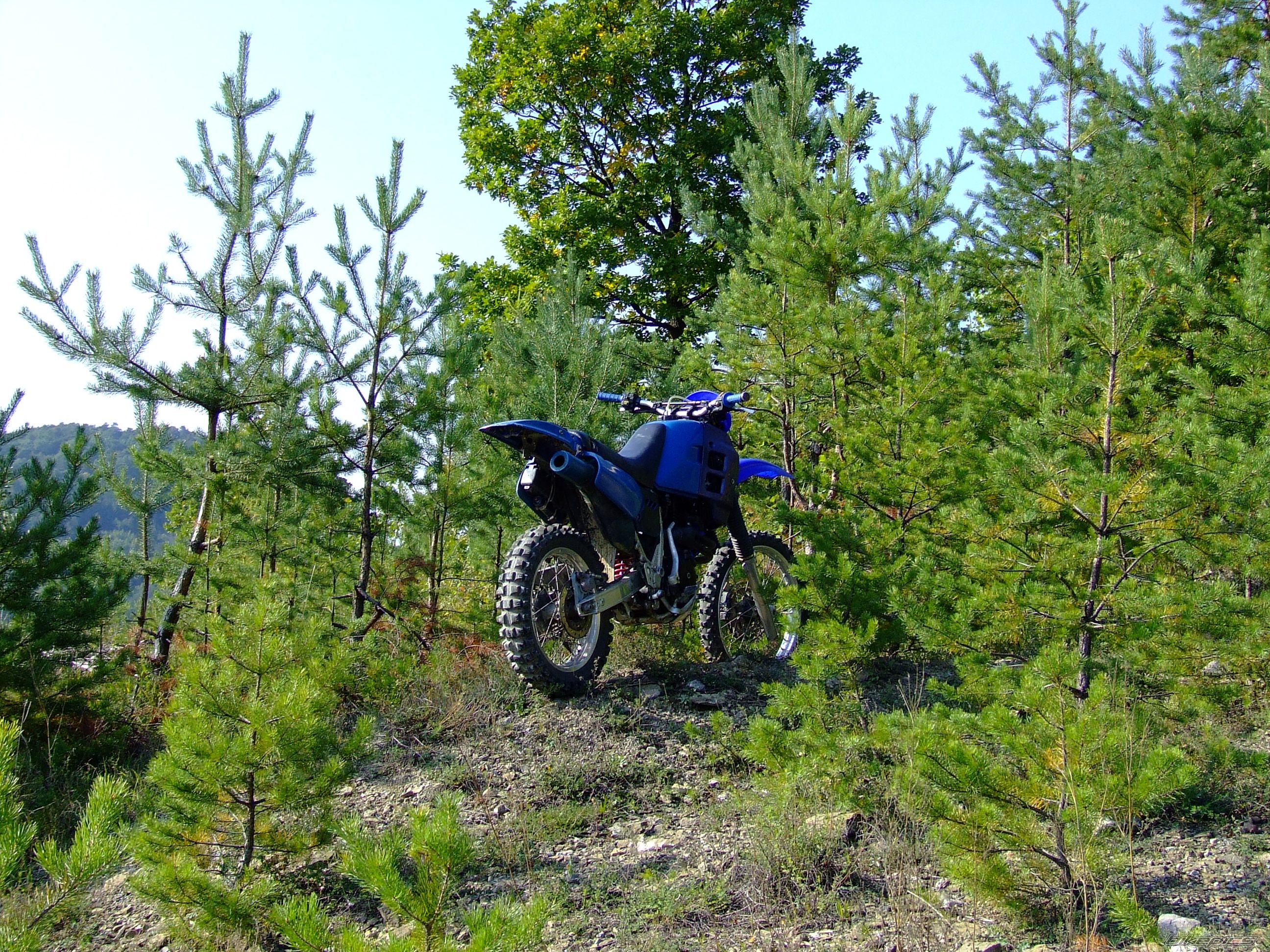 Photo 1029613