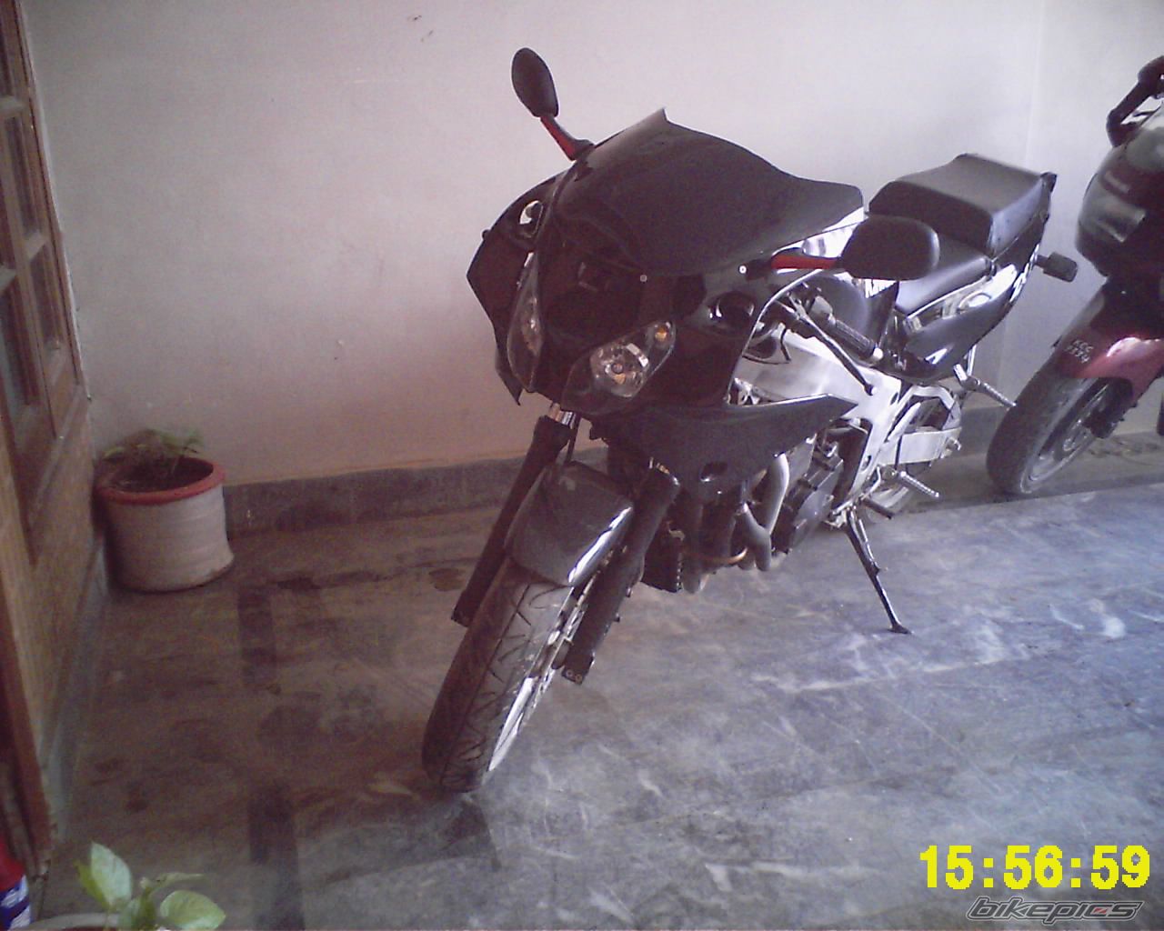 Photo 1029637