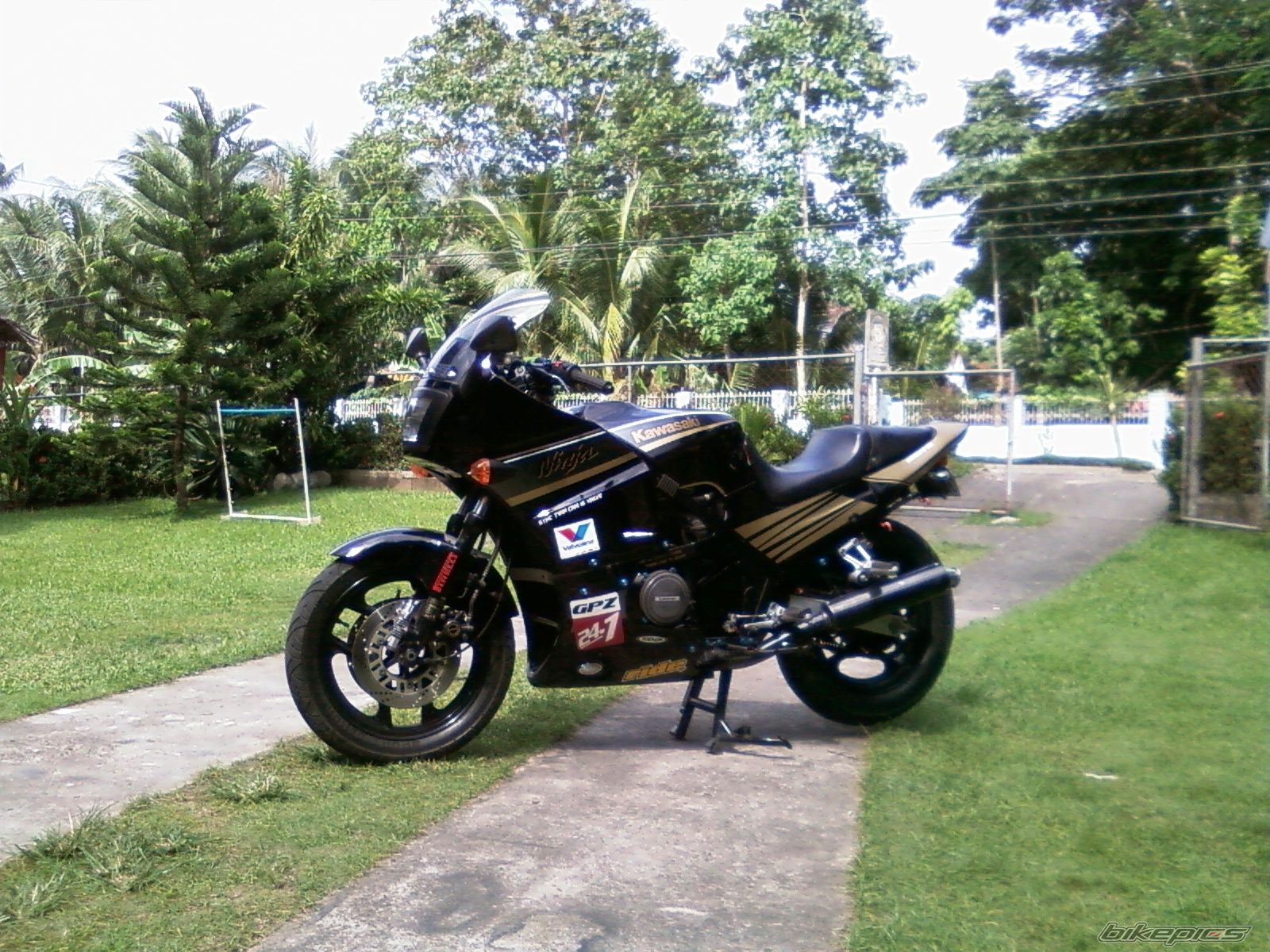 Photo 1029646
