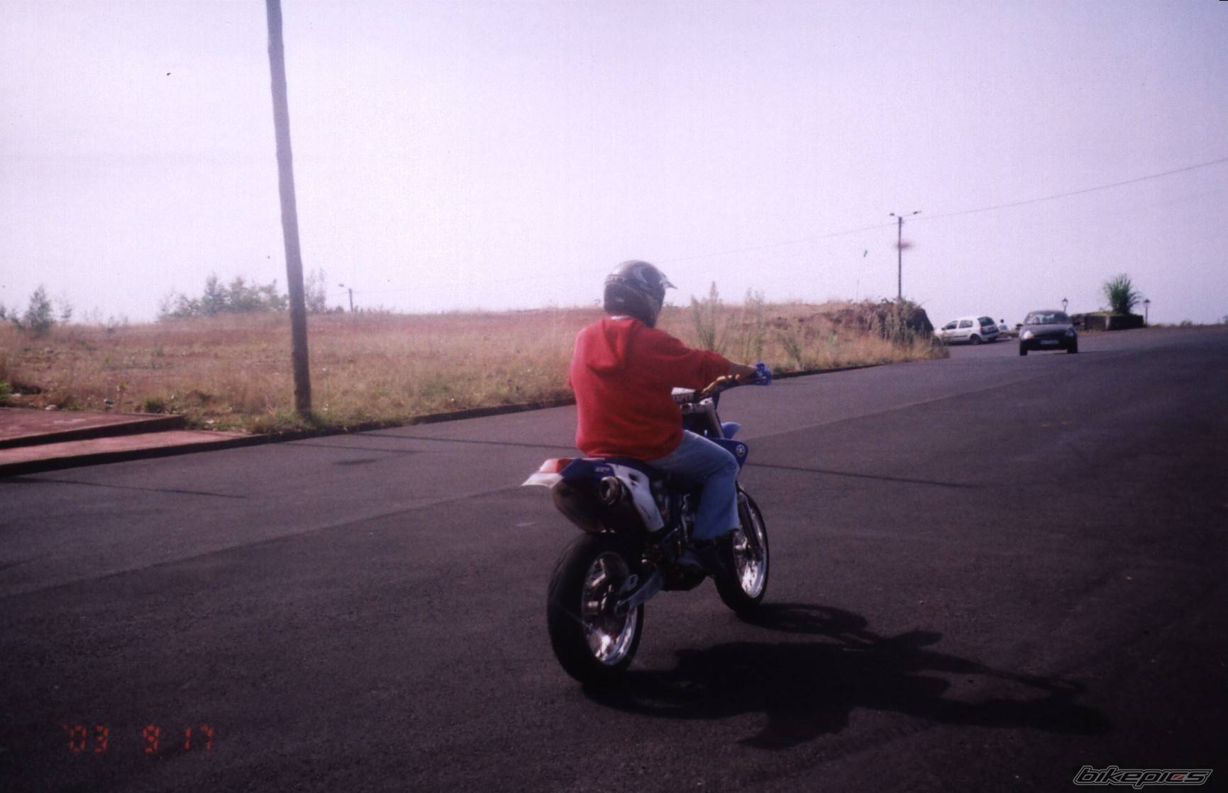 Photo 102981