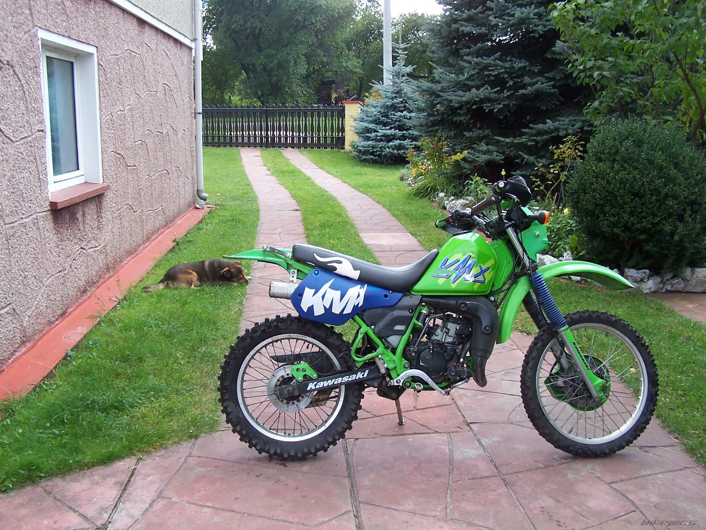 Photo 1029844