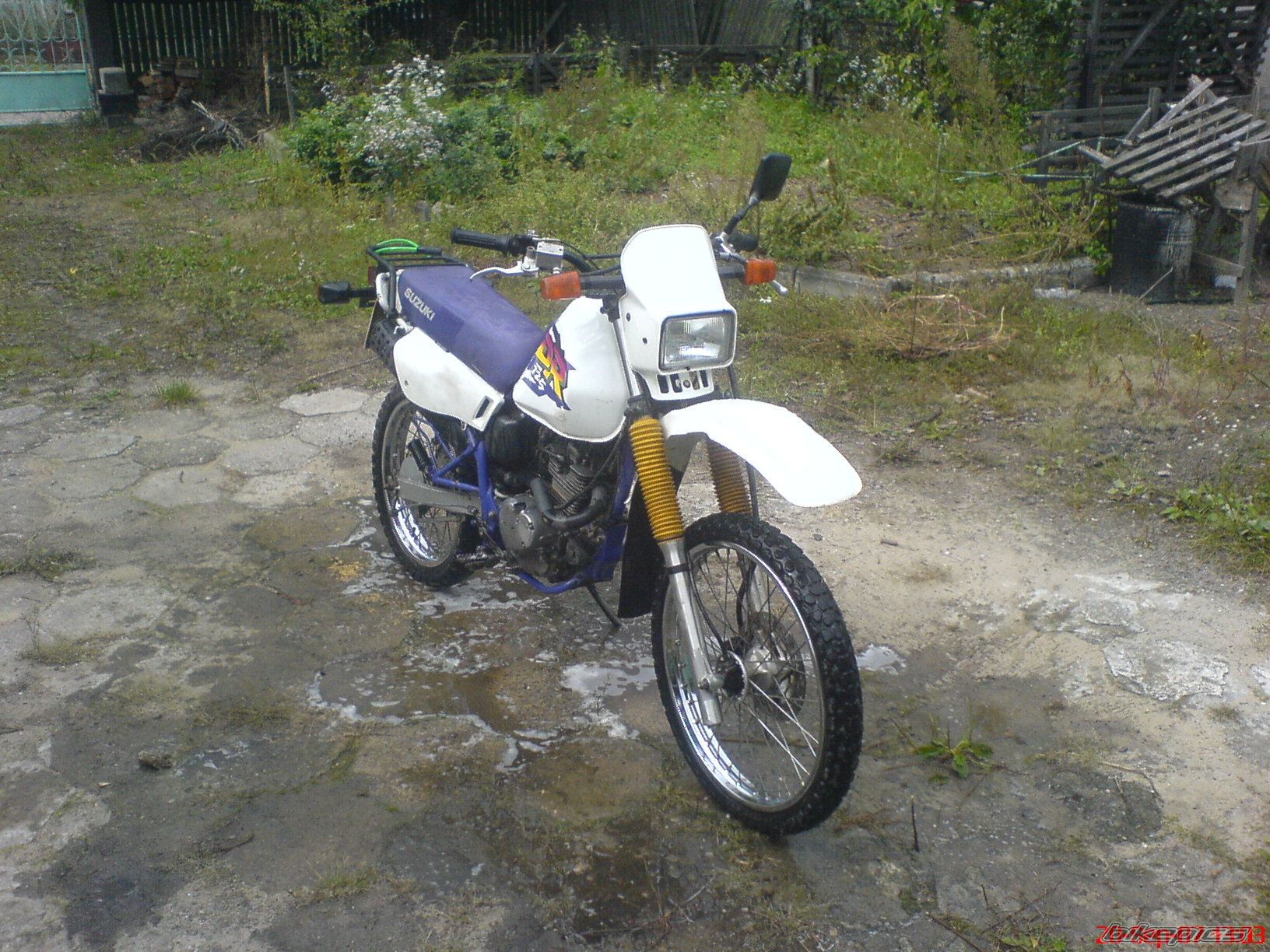 Photo 1029881