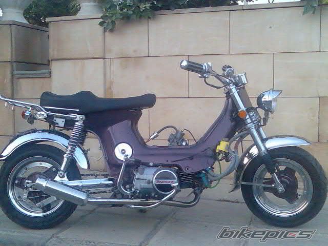 Photo 1029923