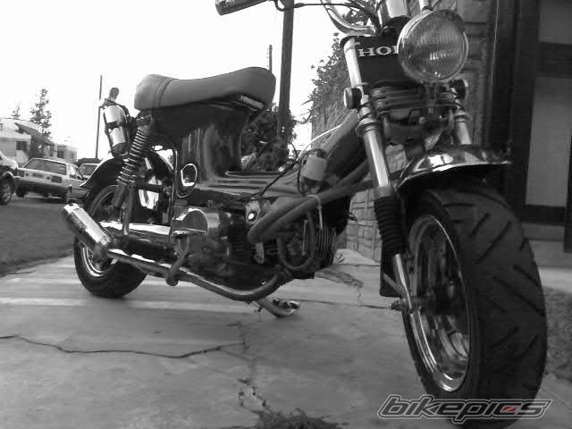 Photo 1029927