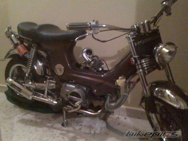 Photo 1029947
