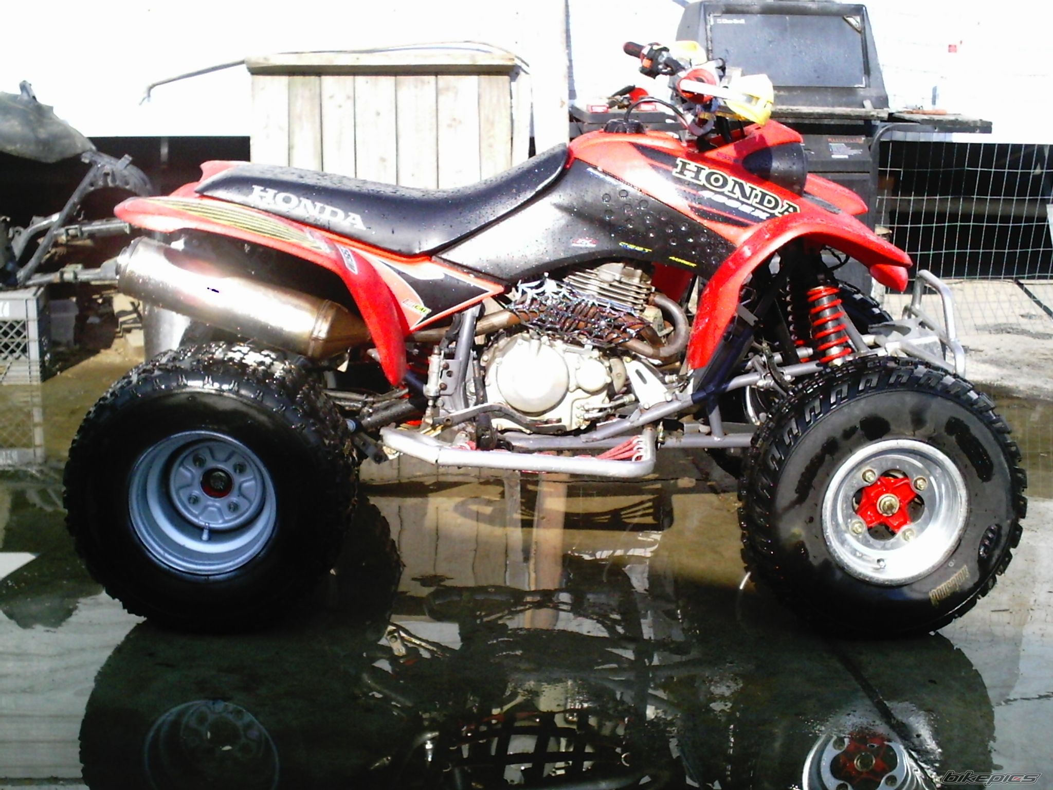 Photo 1029968