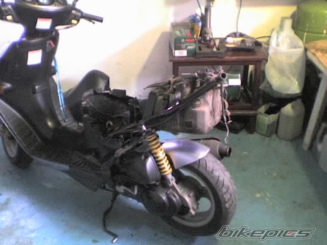Photo 1029998