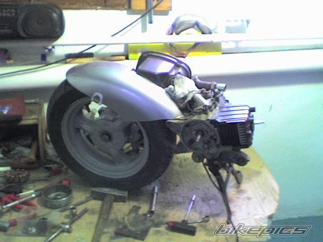 Photo 1030054