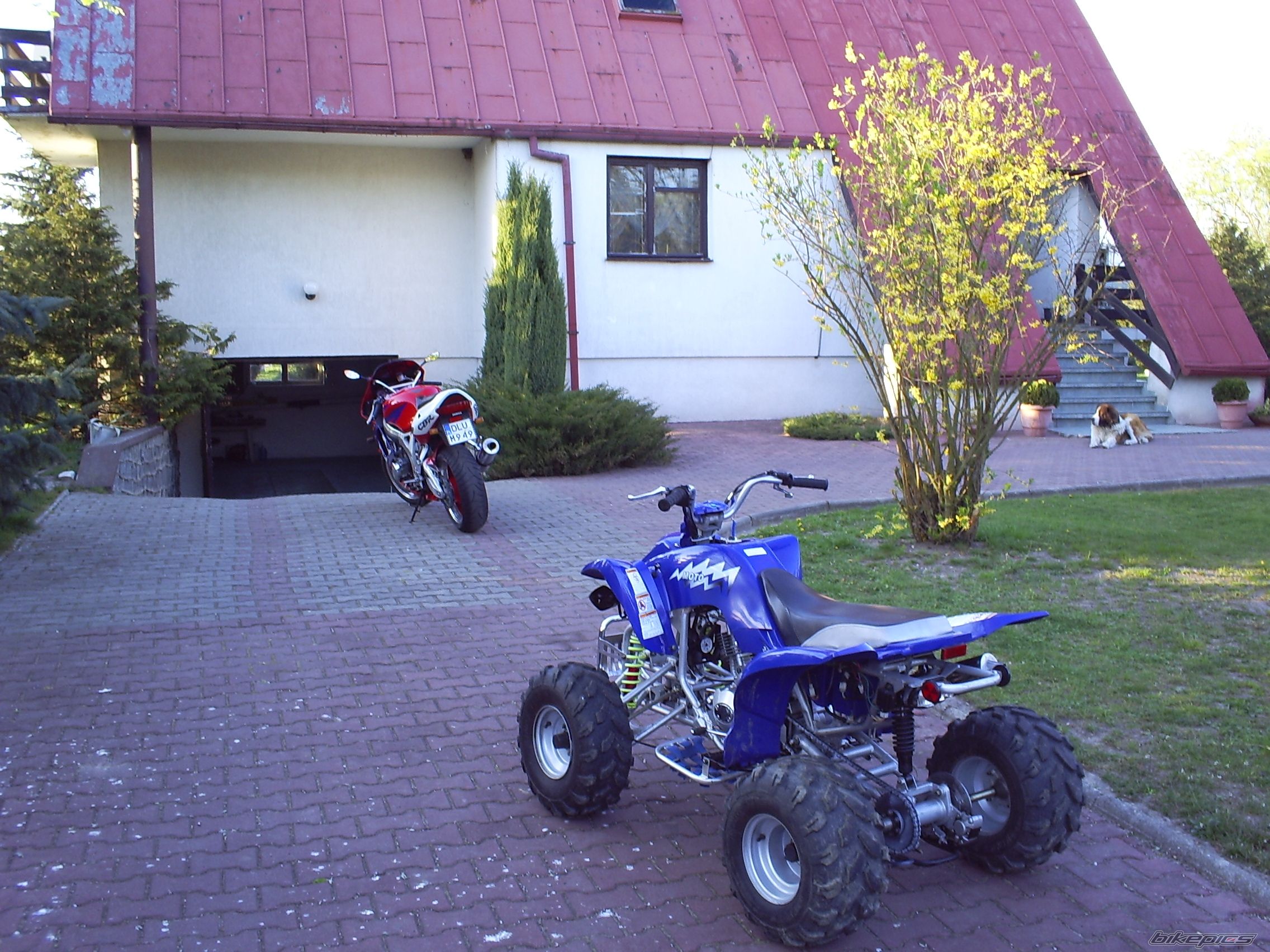 Photo 1030059