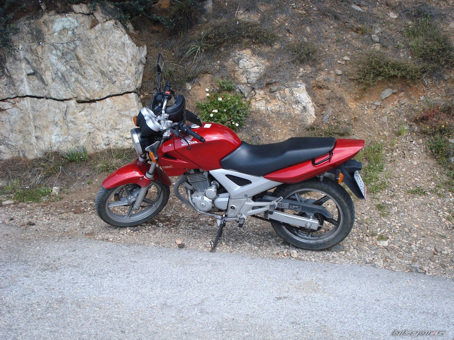 Photo 1030066