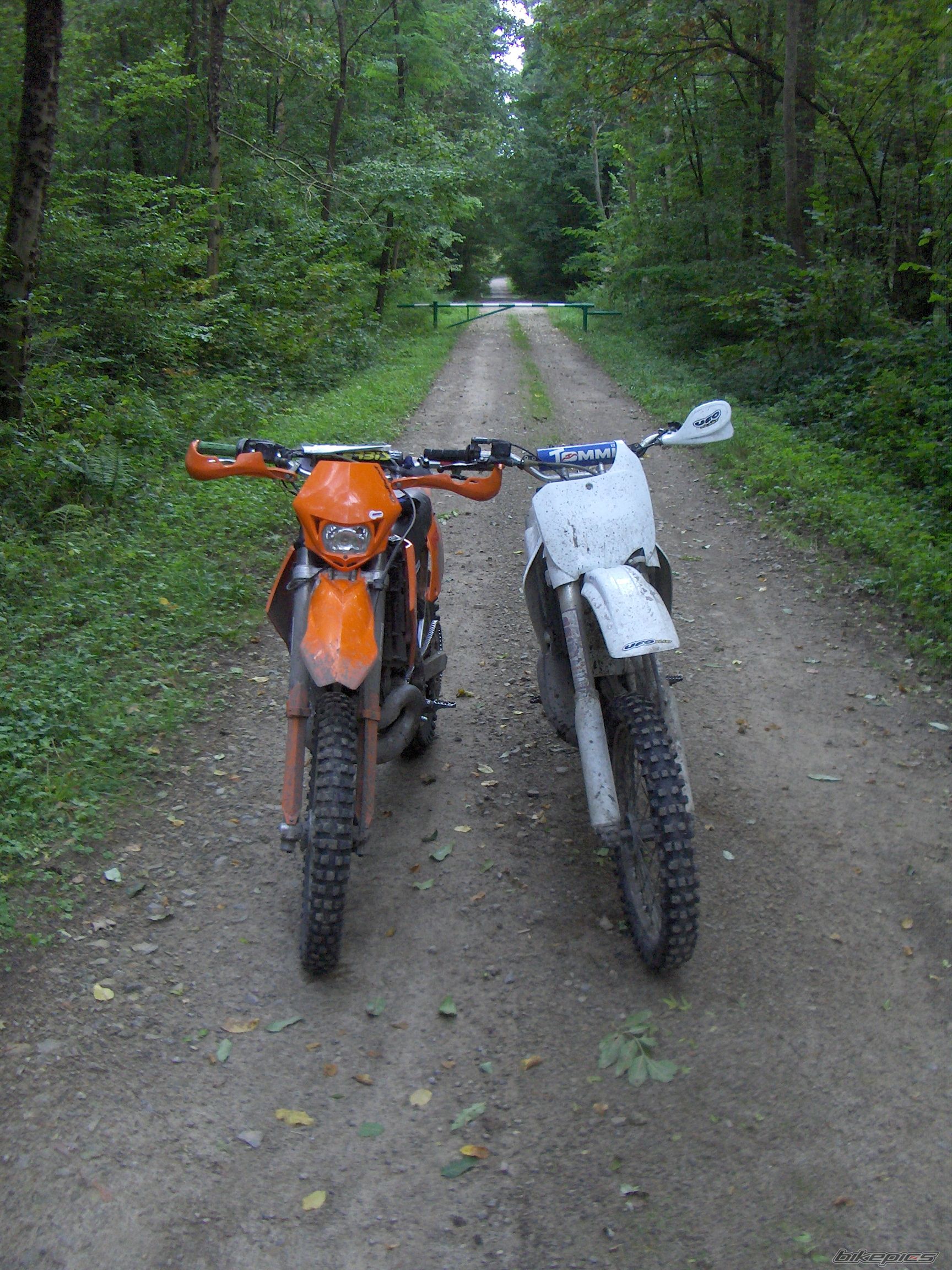 Photo 1030166