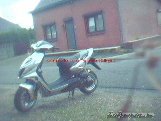 Photo 10302