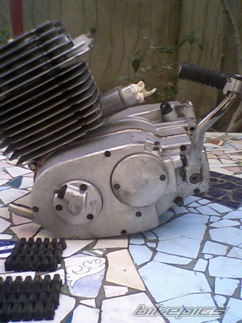 Photo 1030247