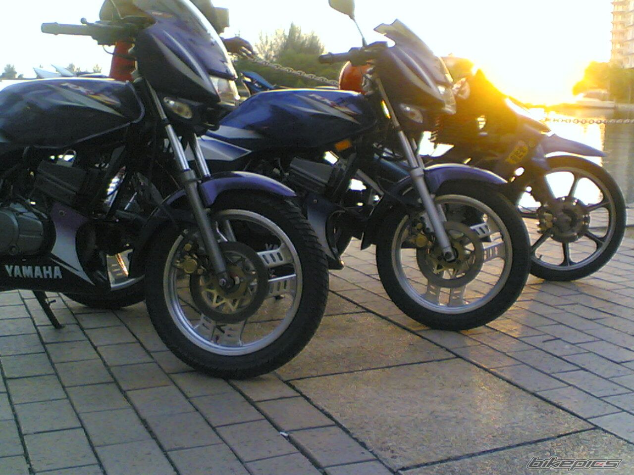 Bike Photo 1030356