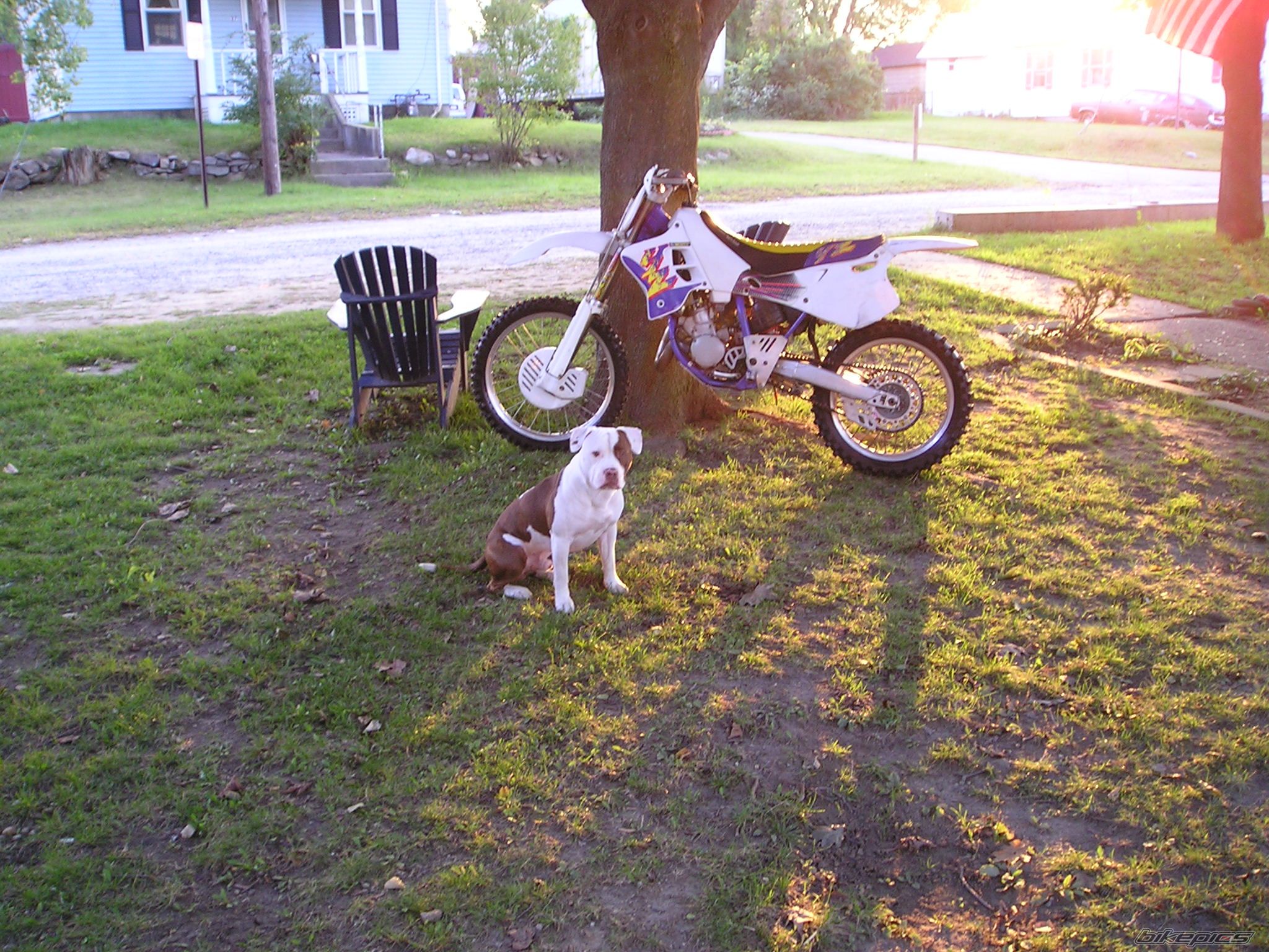 Photo 1030434
