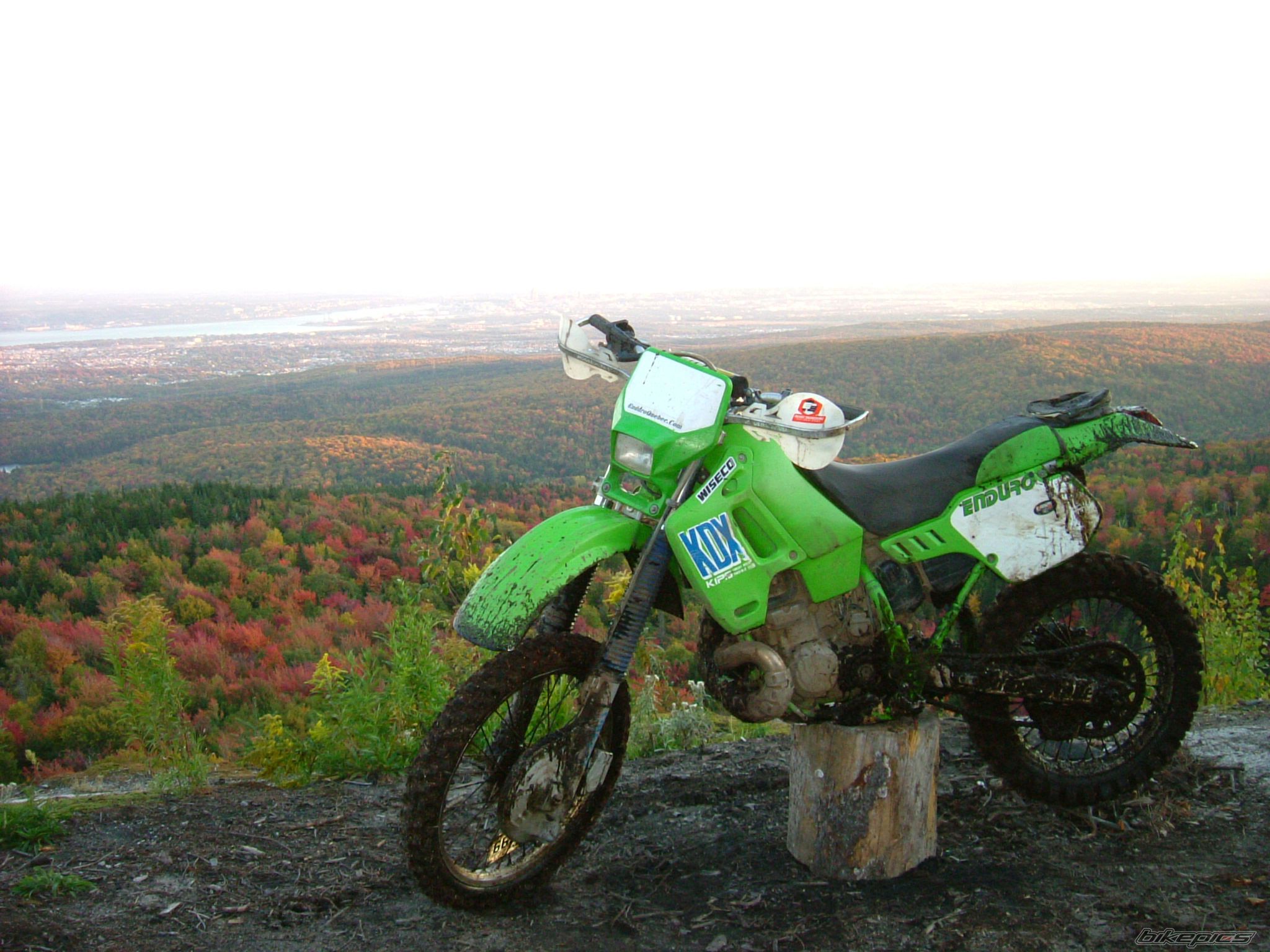 Bike Photo 1030459