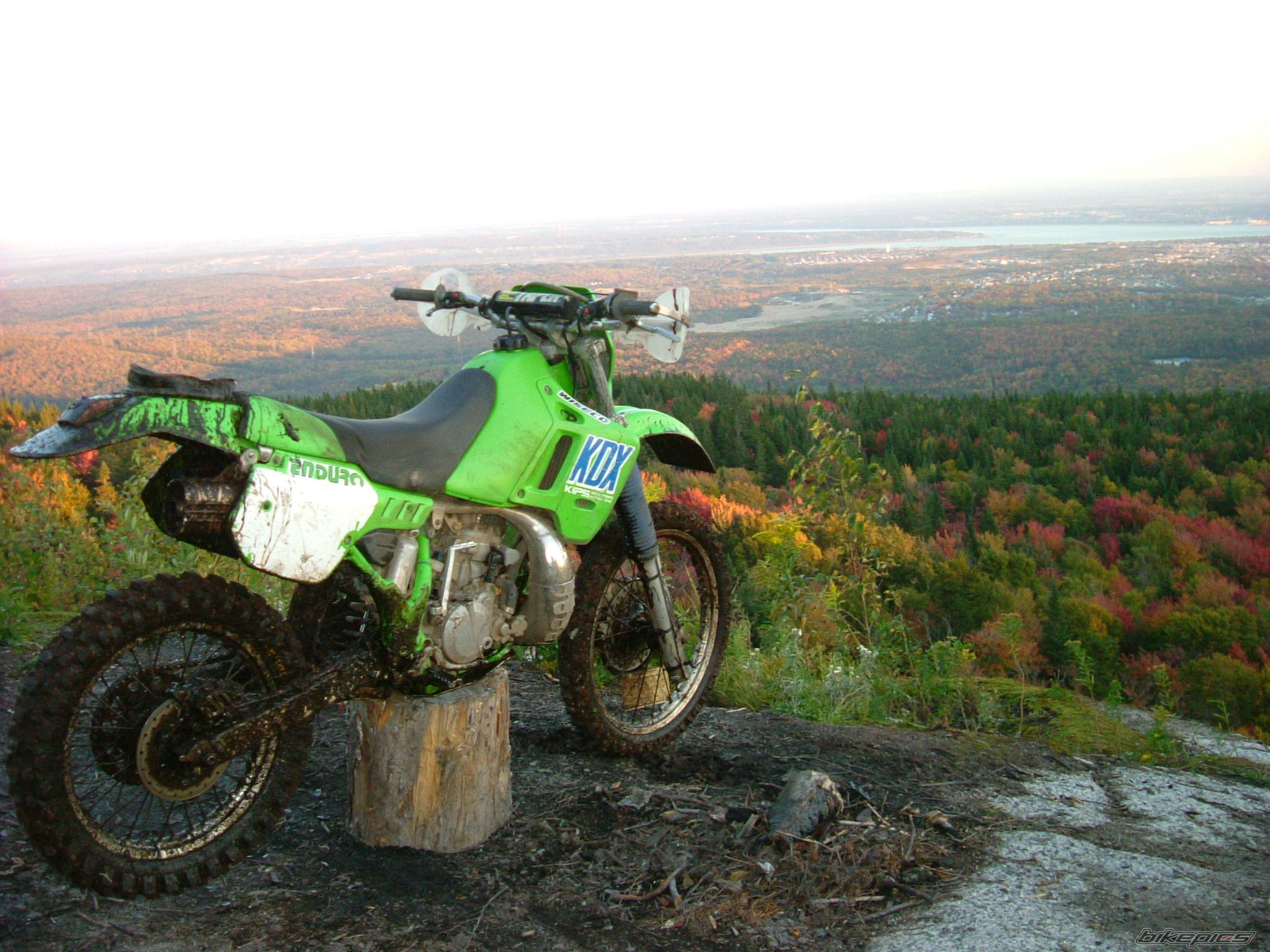 Bike Photo 1030460