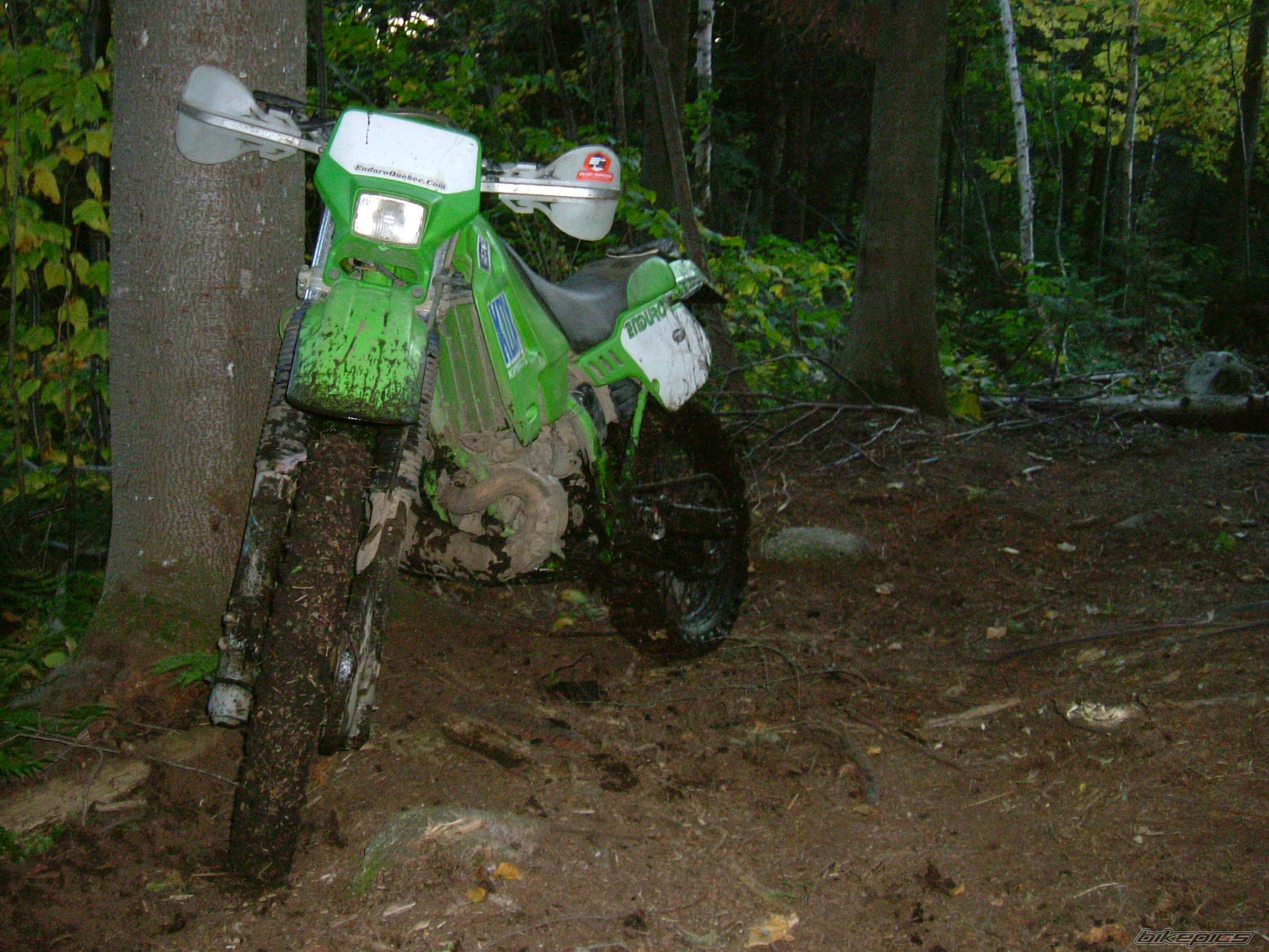 Bike Photo 1030461