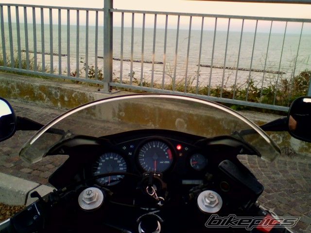 Photo 1030488