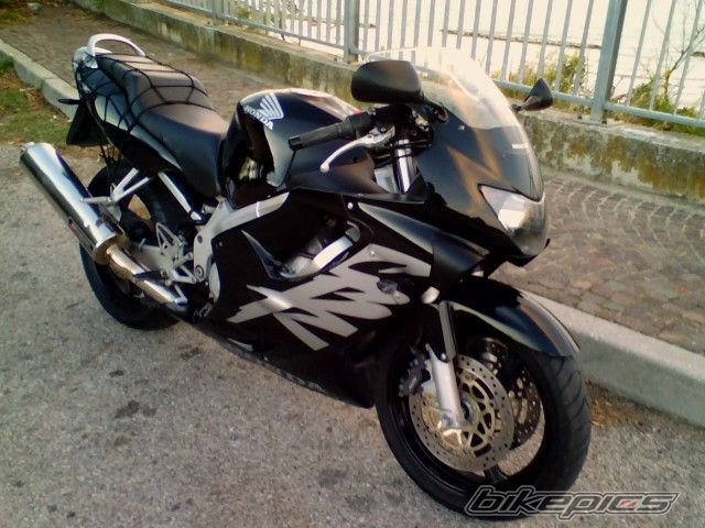 Photo 1030491