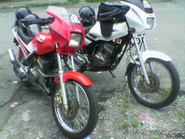 Photo 1030590