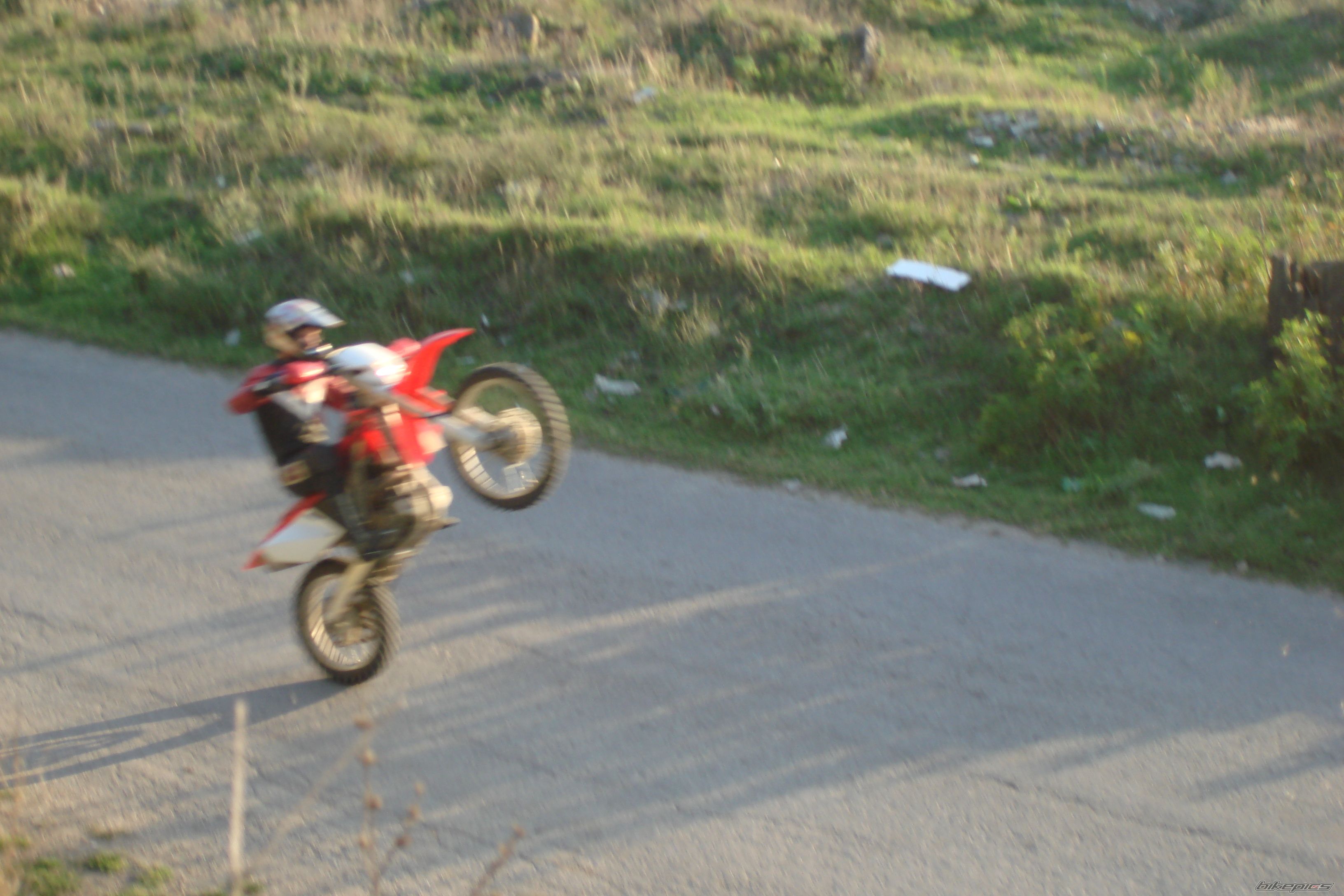 Photo 1030684