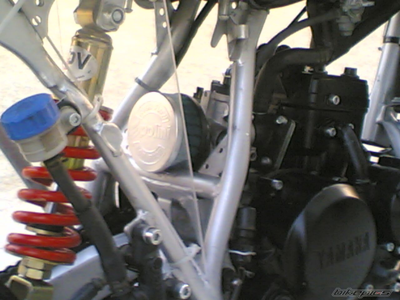 Photo 1030787