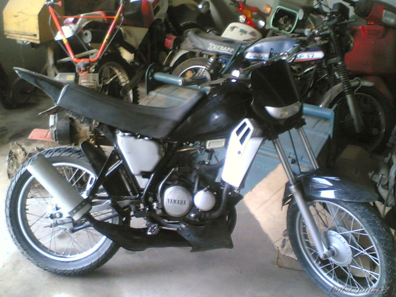 Photo 1030791