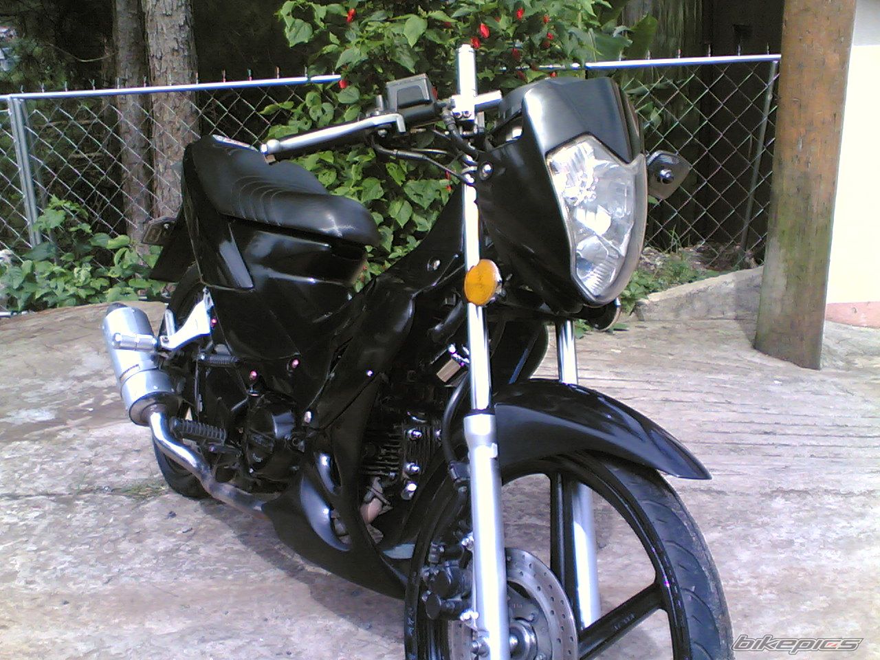 Photo 1030799