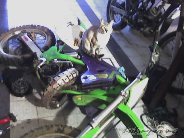 Photo 1030806
