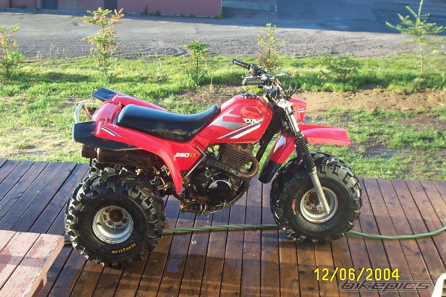 Photo 1030845