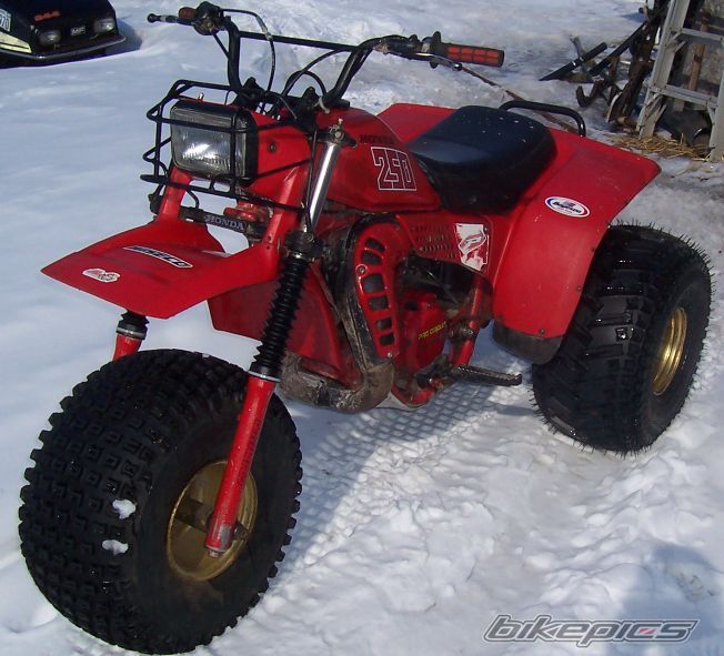 Photo 1030861