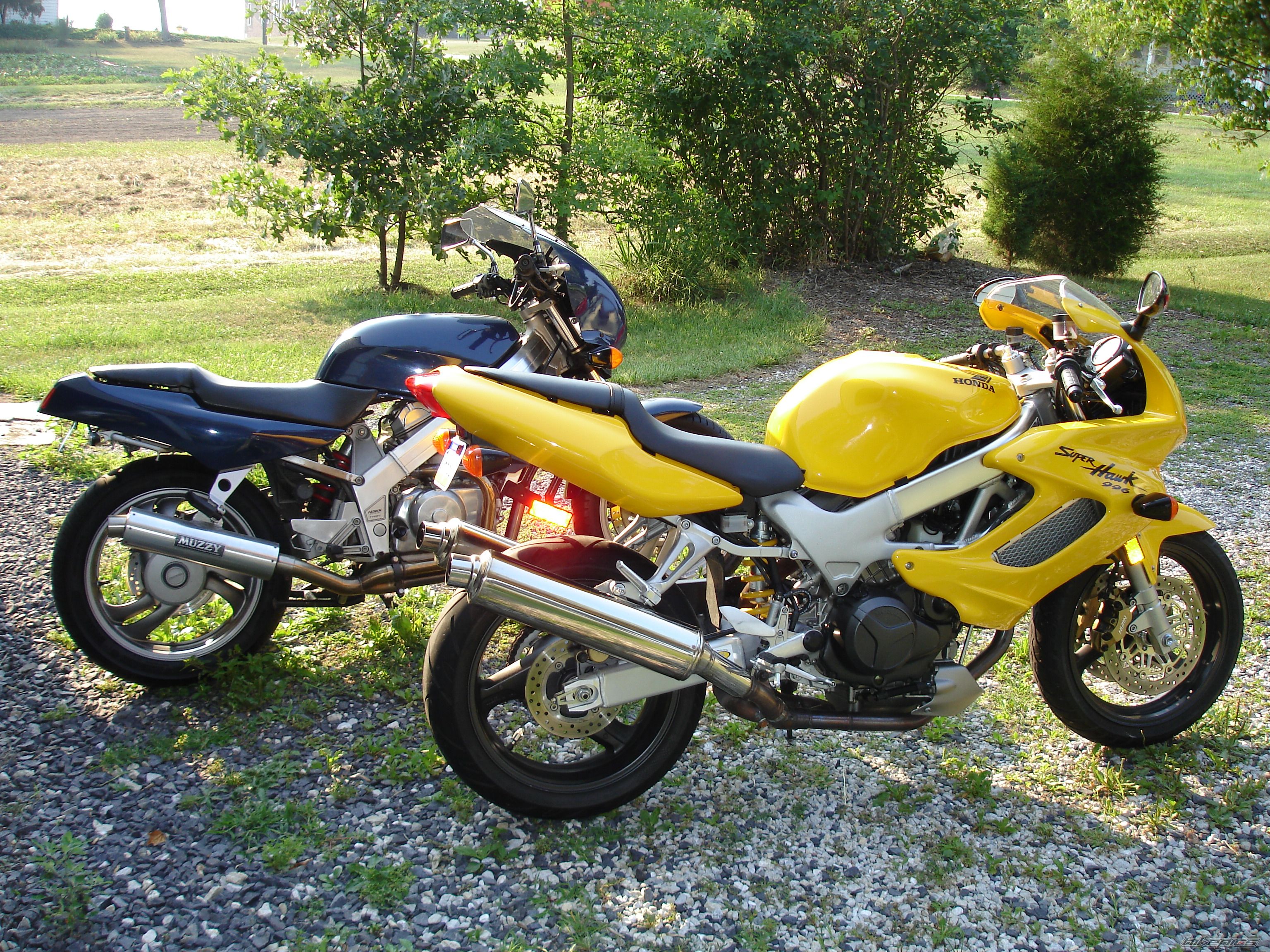 Photo 1030863