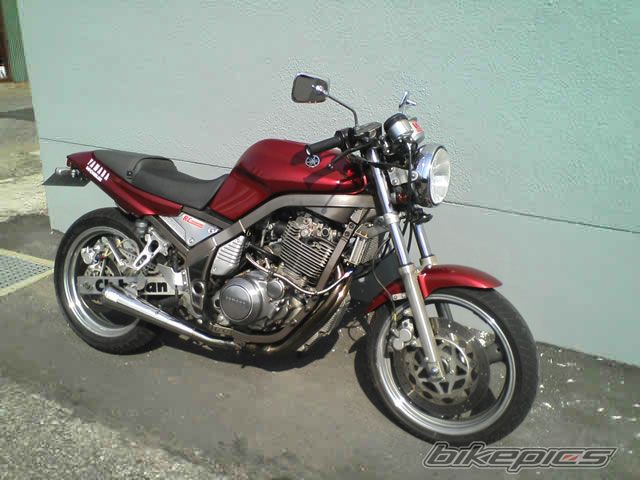 Photo 1031332