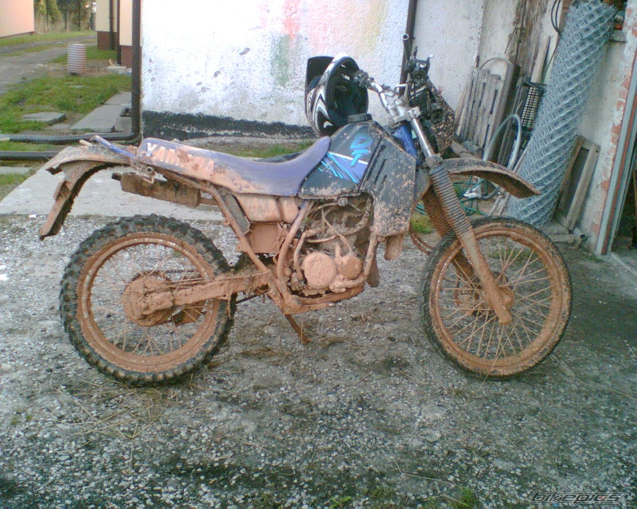 Bike Photo 1031339